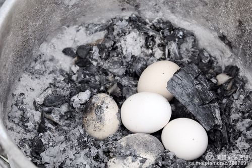 烧鸡蛋——算命法之一.以烧爆后鸡蛋的形状来占卜吉凶.简称