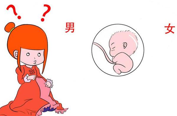 如何在孕期预测出生男生女?超准!