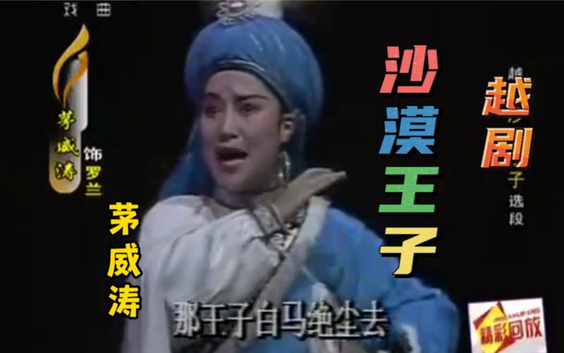 请欣赏越剧名家茅威涛演唱尹派经典名段《沙漠王子》