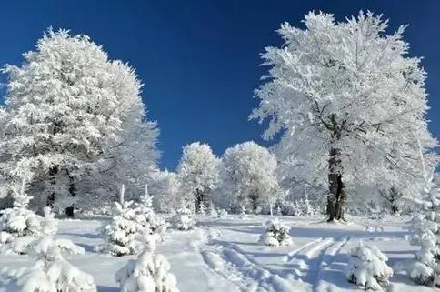 大雪纷飞.大雪,是冬季的第三个节气,标志着仲冬正式开始. 古 - 抖音