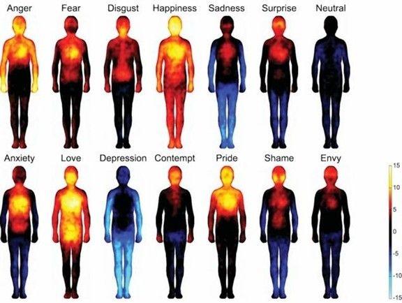 身体温度与情感的联系